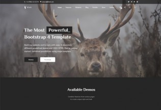 Khaki – Premium Responsive Multi-Concept Bootstrap 4 HTML5 Template