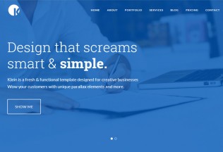 Klein – Premium Responsive One Page Parallax HTML5 Template