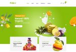 Kola – Premium Responsive Organic Food WooCommerce WordPress Theme