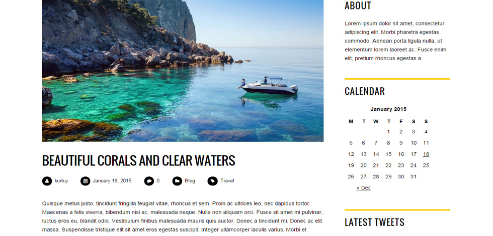 Blog Post