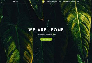 Leone – Premium Responsive One Page MultiPurpose WordPress Theme