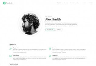 Leven – Premium Responsive CV/Resume WordPress Theme