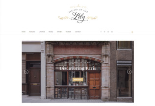 Lily – Premium Responsive Elegant WordPress Blog Theme