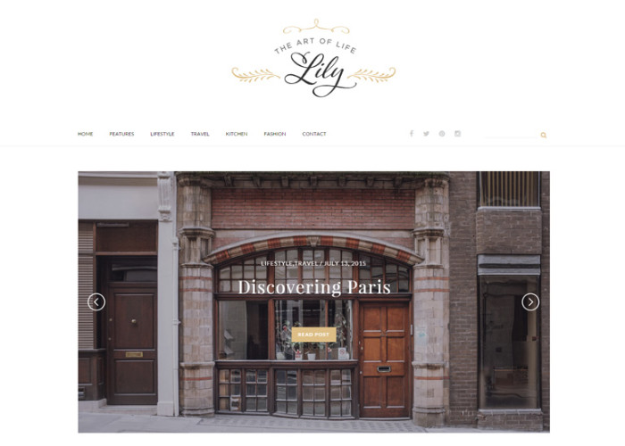 Lily – Premium Responsive Elegant WordPress Blog Theme