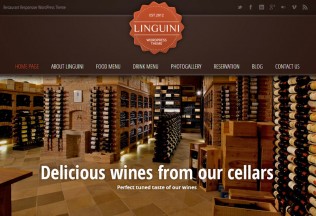Linguini – Premium Responsive WordPress Theme