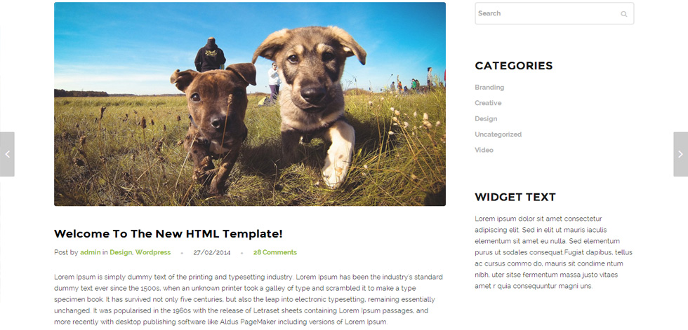 Blog post page