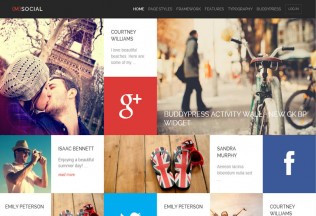 (M) Social – Premium Responsive Metro WordPress Theme