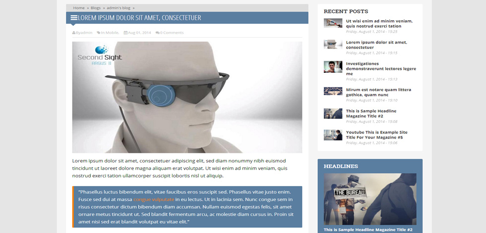 Blog post page