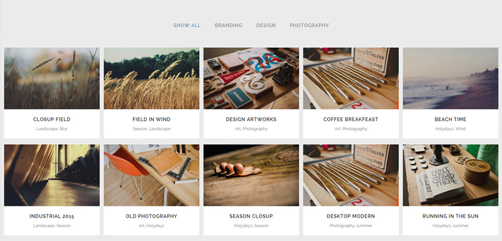 Portfolio