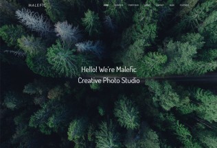 Malefic – Premium Responsive Multipurpose One Page HTML5 Template
