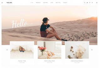 Malina – Premium Responsive Personal Blog WordPress Theme