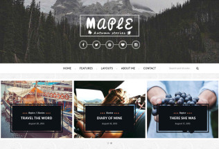 Maple – Premium Responsive WordPress Blog Theme