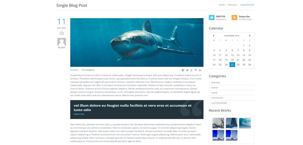 Blog post page
