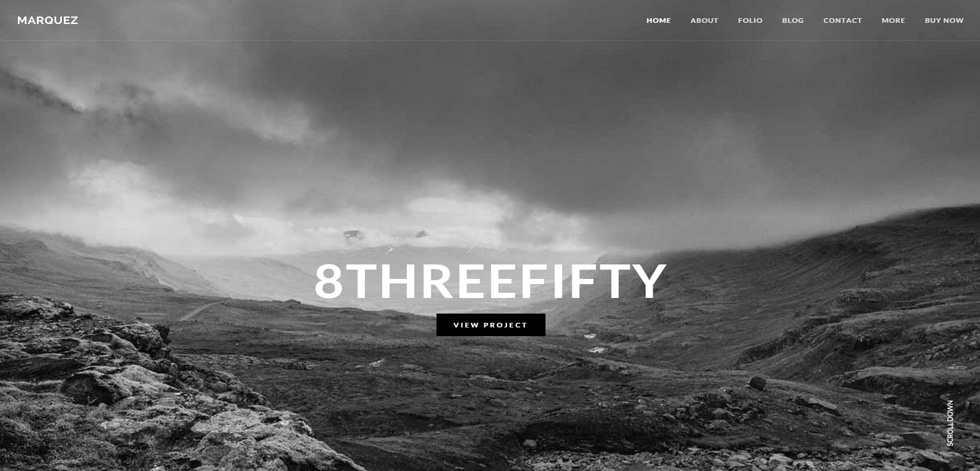 Home page