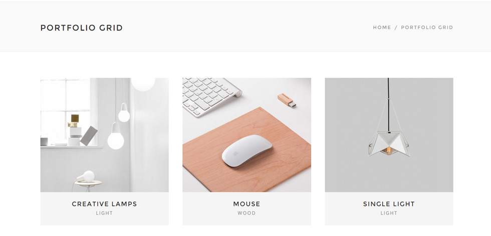 Portfolio