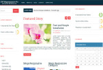 MegaResponsive Pro – Premium Responsive Magazine WordPress Theme