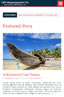 Optimised for Mobile