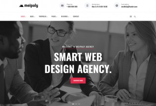 Meipaly – Premium Responsive Digital Services Agency Drupal 8 Theme