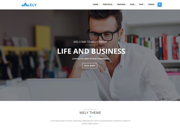 Mely – Premium Responsive Business Drupal Theme