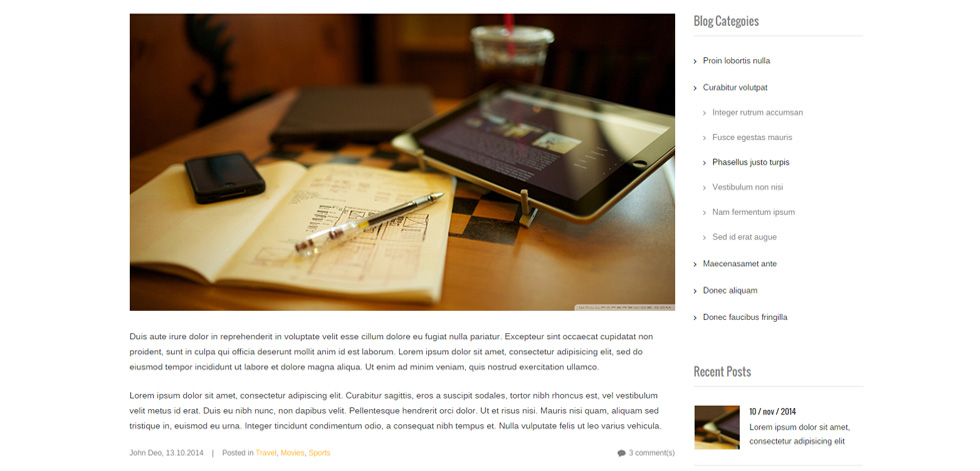 Blog post page