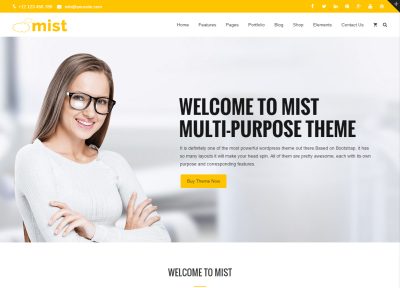 5+ Best Responsive Multi Concept WordPress Themes in 2015