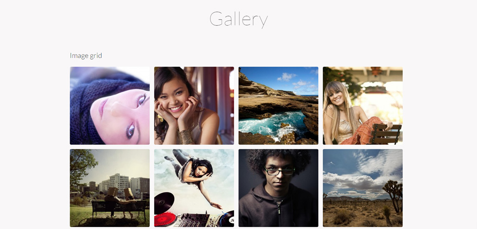 Gallery