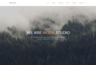 Mora – Premium Responsive Creative Portfolio & Photography WordPress Theme