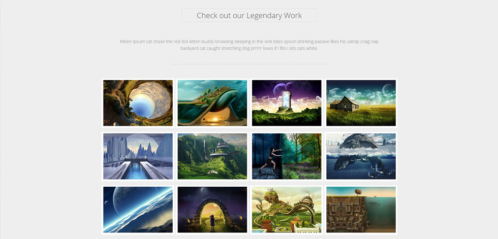 Portfolio