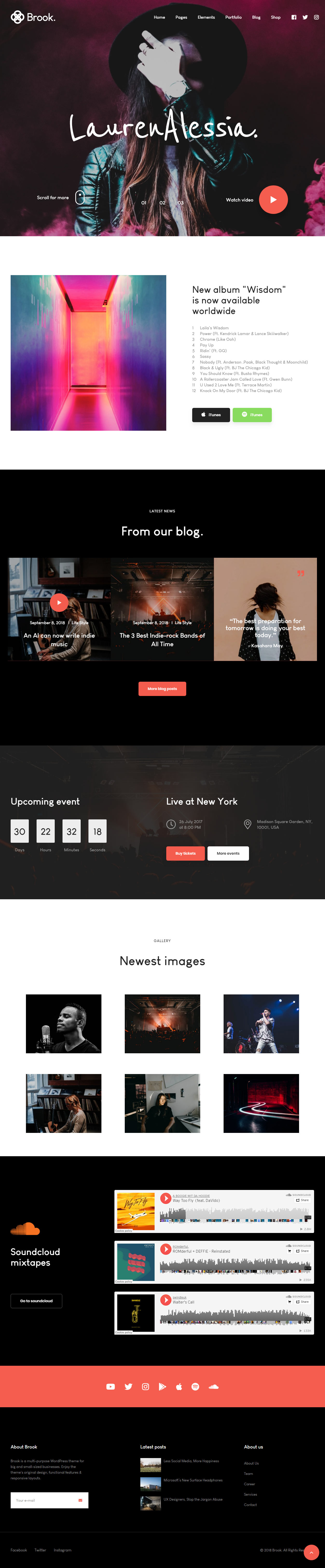 Brook Best WordPress Music and Band WordPress Themes