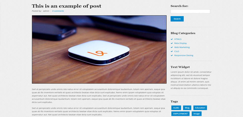 Blog post page