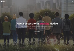 Native – Premium Responsive Startup Development Tool WordPress Theme