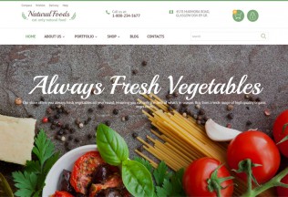 Natural Foods – Premium Responsive WooCommerce WordPress Theme