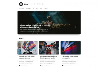 Neori – Premium Responsive News and Magazine WordPress Theme