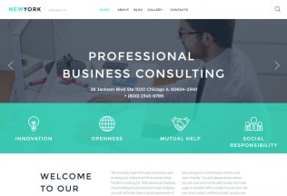 New York – Premium Responisve Business WordPress Theme