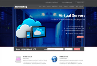 NewHosting – Premium Responsive Hosting WordPress Theme
