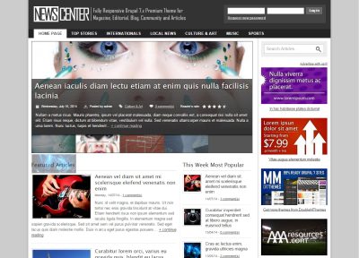 10+ Best Responsive Drupal Blog Themes 2017