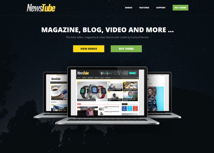 NewsTube – Premium Responsive Magazine Blog & Video WordPress Theme