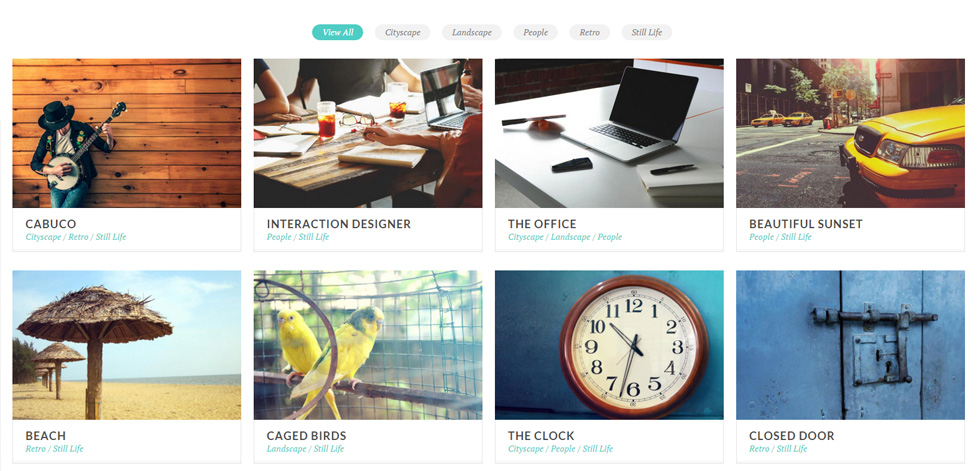 Portfolio