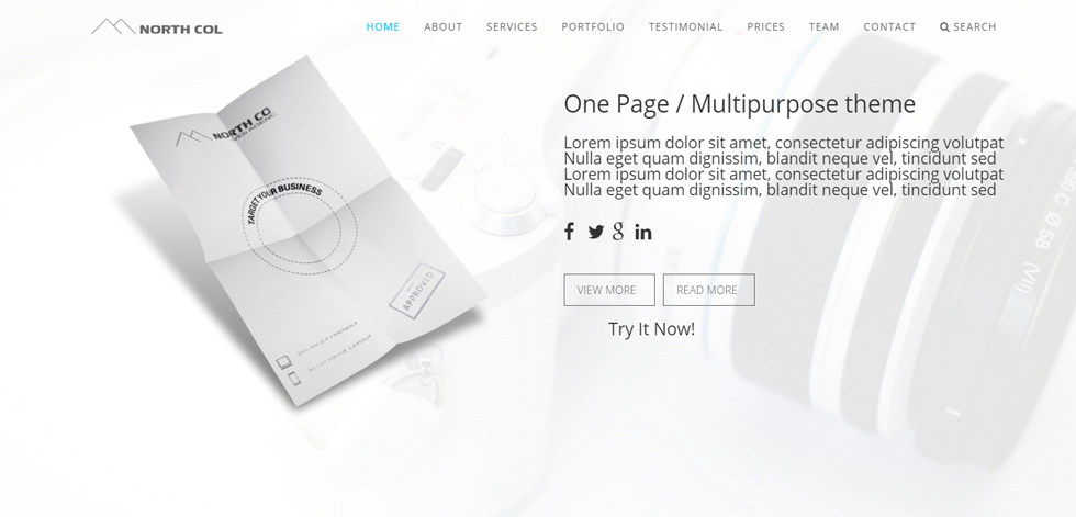Home page