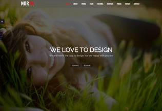 North – Premium Responsive One Page Parallax WordPress Theme