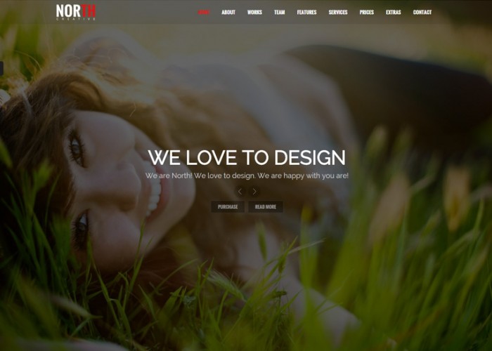 North – Premium Responsive One Page Parallax WordPress Theme