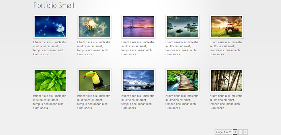 Portfolio