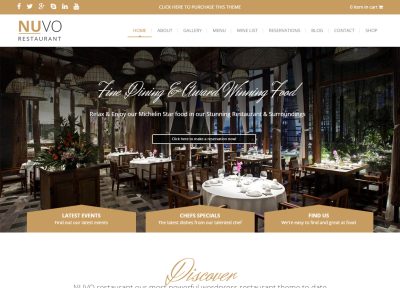 Best Responsive Restaurant Drupal Themes in 2015