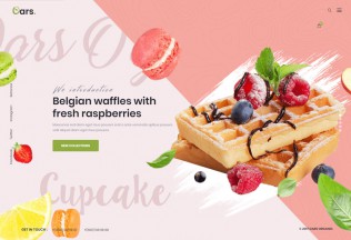 Oars – Premium Responsive Organic Food Store WordPress Theme