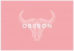 Oberon – Premium Responsive Portfolio WordPress Theme