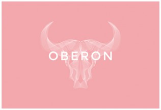 Oberon – Premium Responsive Portfolio WordPress Theme