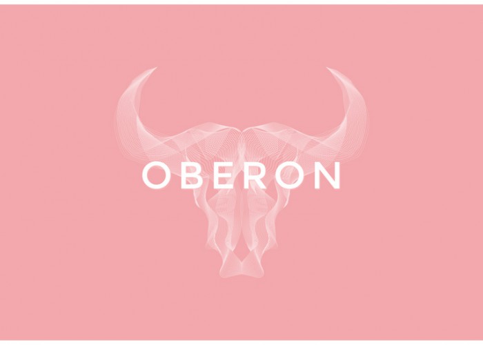 Oberon – Premium Responsive Portfolio WordPress Theme