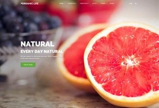 Organic Life – Premium Responsive Ecology & Environmental WordPress Theme