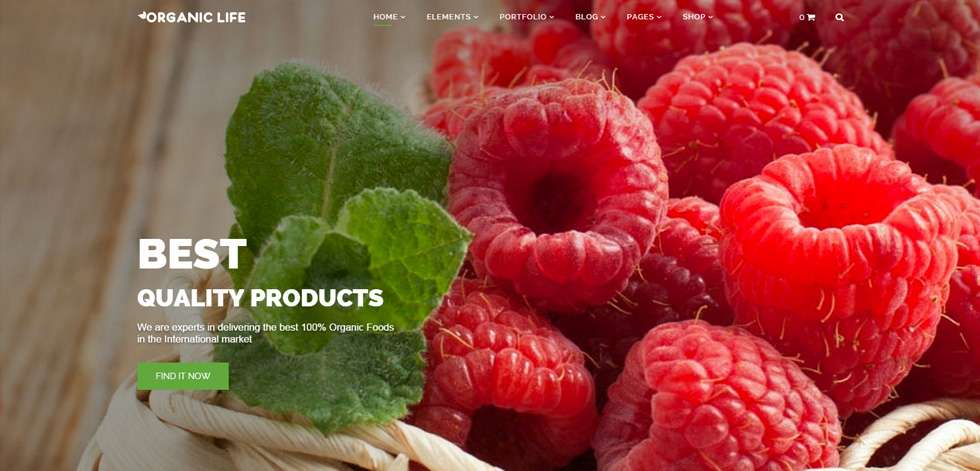 Home page