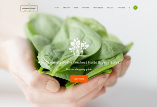 Organic Store – Premium Responsive Organic Food & Eco Products Theme